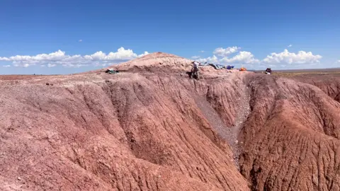 Paleontologists excavating fossils at the ancient bone bed in Arizona.