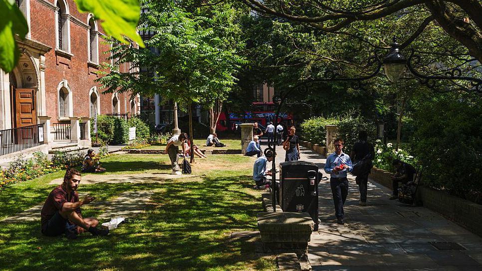 People seeking shade under trees during a heatwave