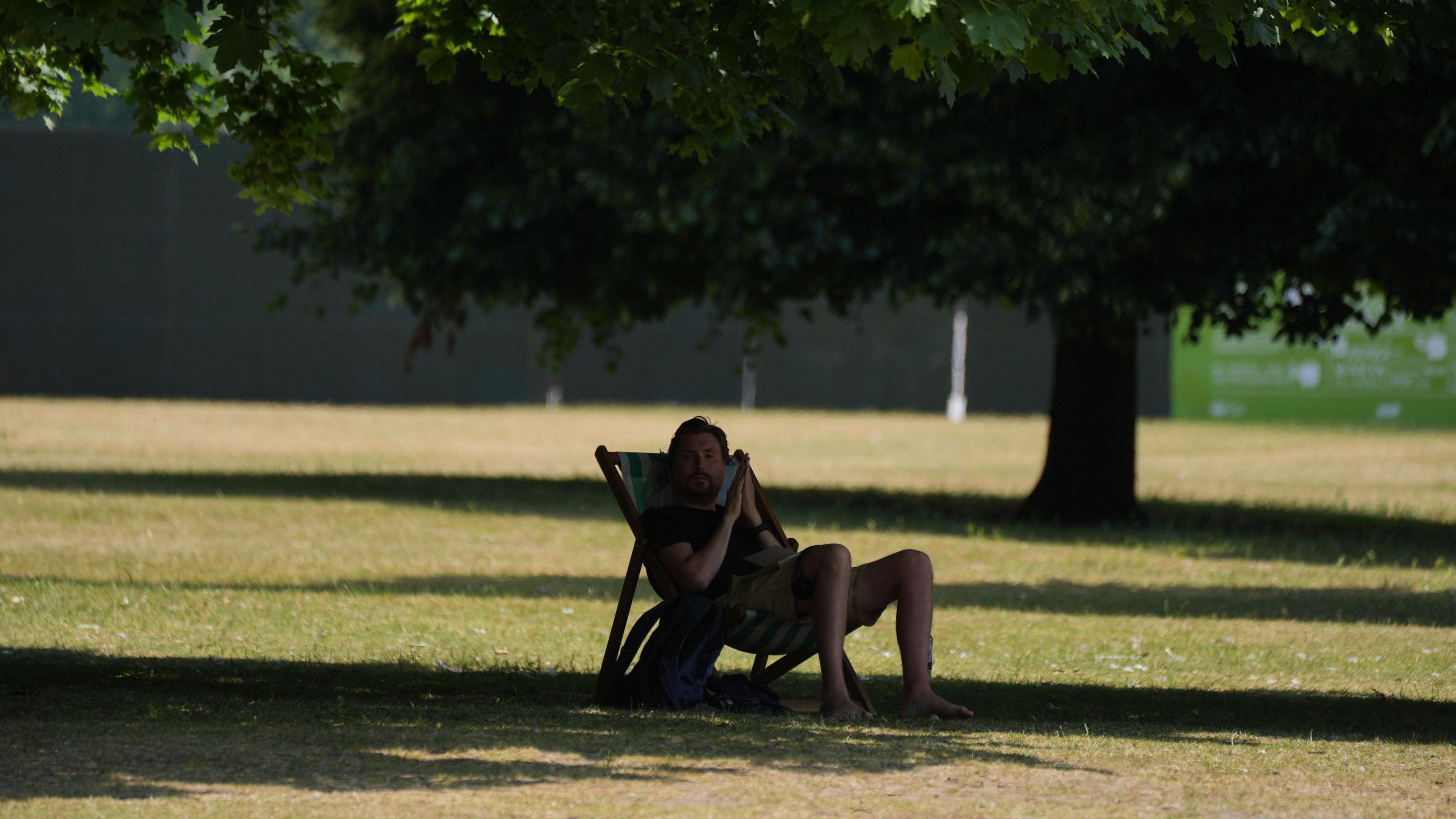 A person sitting in a deckchair in the shade of a tree.