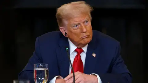 EPA US President Donald Trump during a meeting with African leaders at the White House, Washington, DC, USA, 9 July 2025.