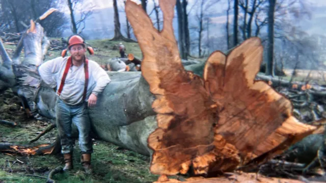Walter Renwick in earlier days, pictured with a felled tree.